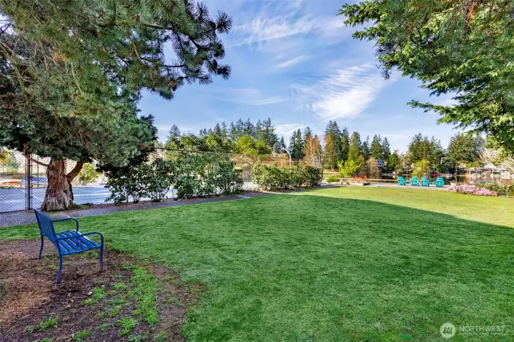 Lawn area right next to the pickle ball court.