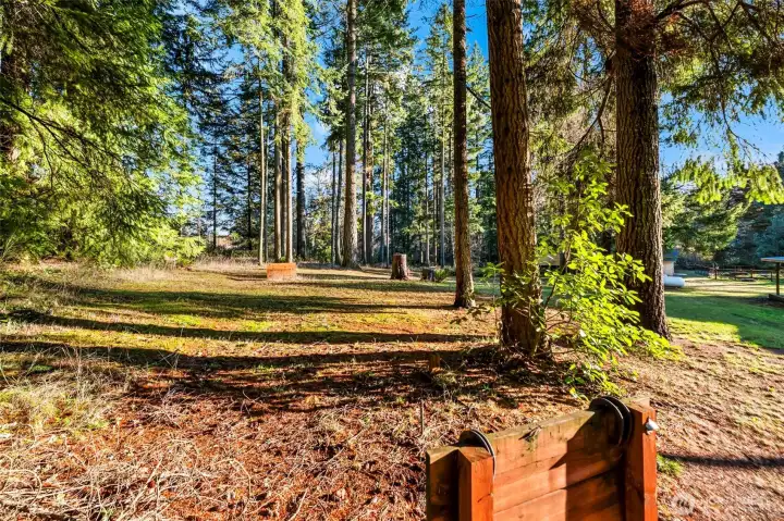 “Who’s up for a game of horseshoes?”