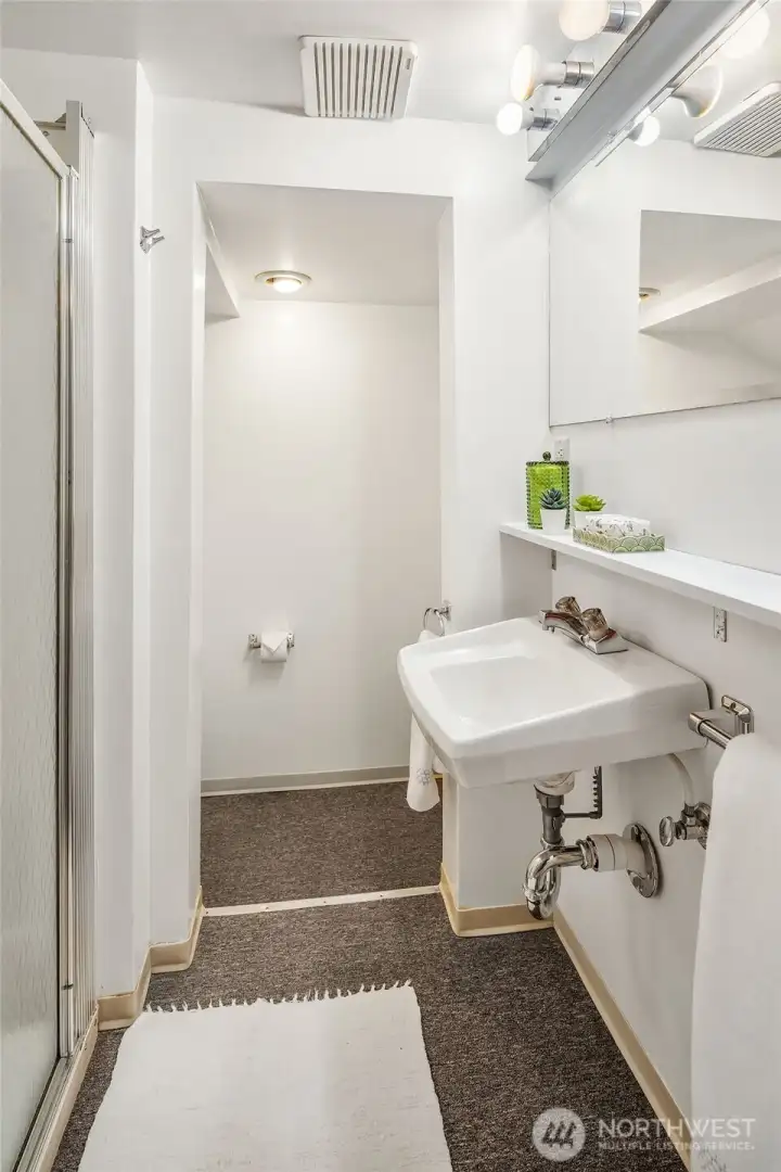 The lower-level bathroom features a shower, sink and toilet.