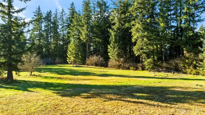 Large front pasture area!