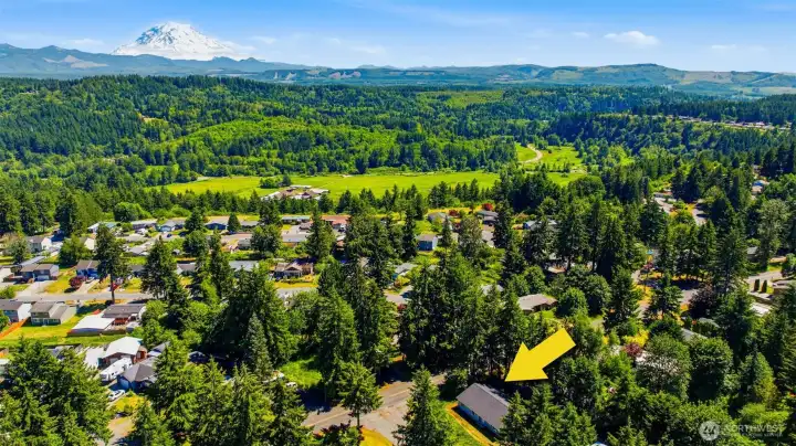 Stunning aerial perspective with Mt. Rainier as your backdrop — nestled in a established Bonney Lake neighborhood surrounded by greenery.