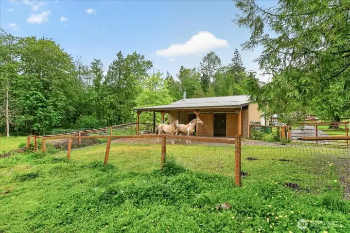 View of the pasture and large stall - must see in person!