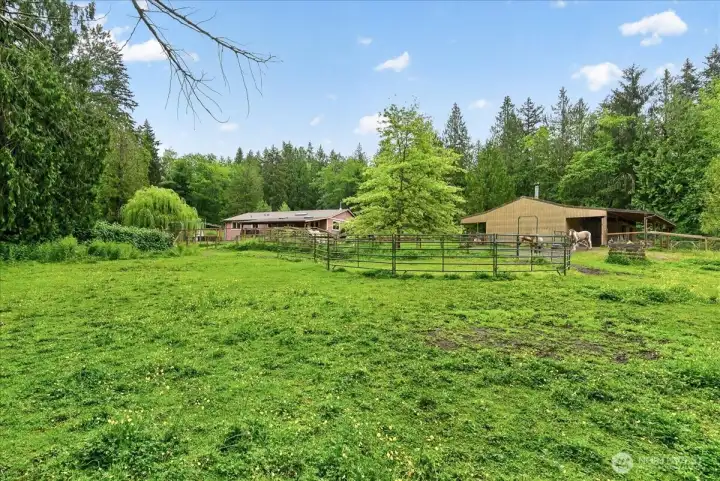 Pasture that is fenced and cross fenced.