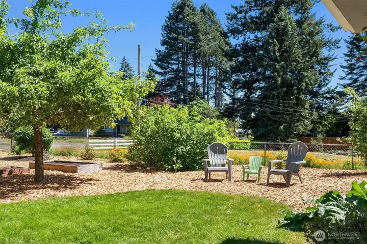 Not a park, no... this is the front garden.  With native plants and over 8 different fruits your grocery bill just went down.