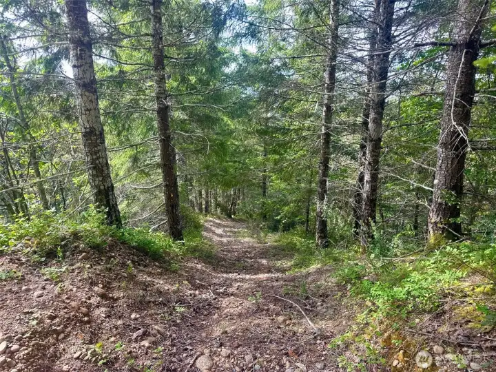 The path from top to bottom