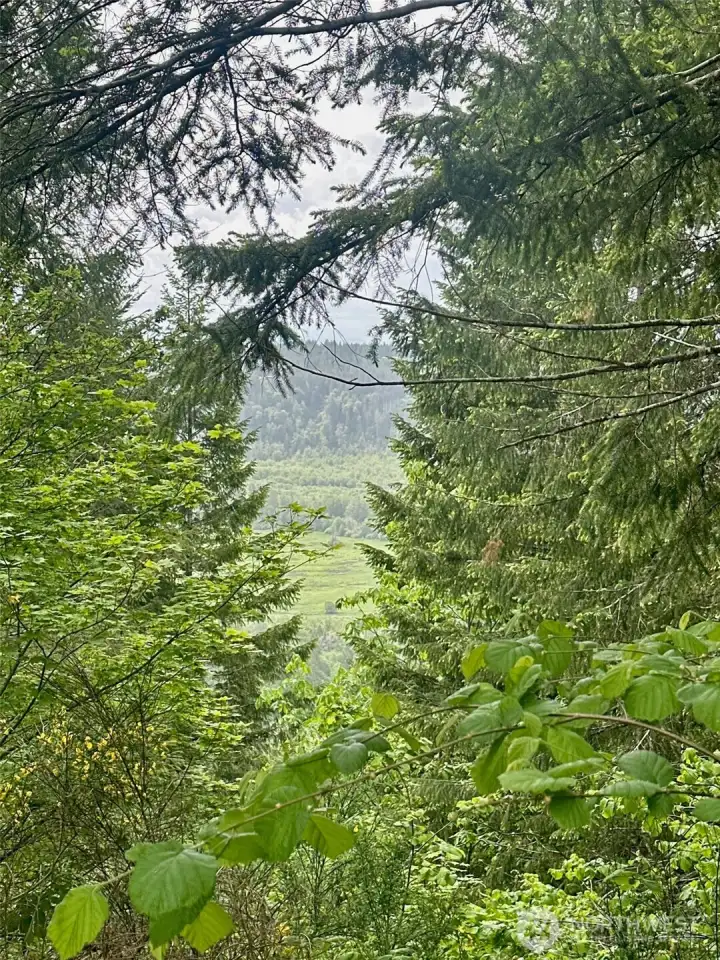 Territorial views of the valley.