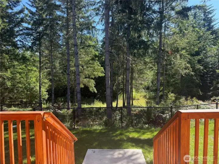 Peaceful view from backyard deck. Peaceful view from backyard deck.