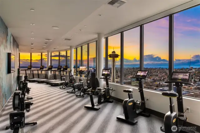 The GYM