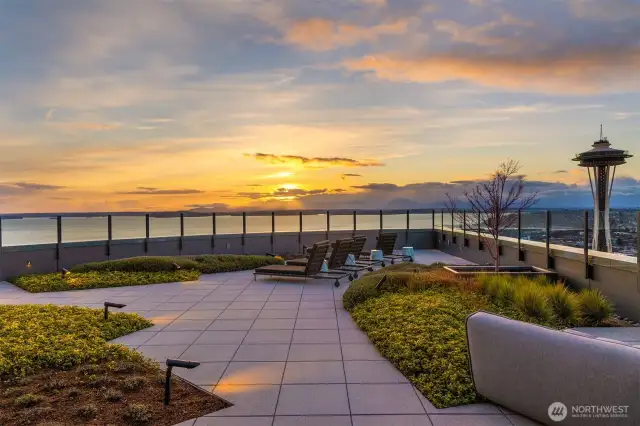 Roof top