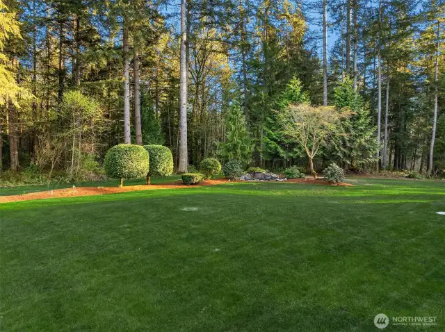 Your own wooded wonderland