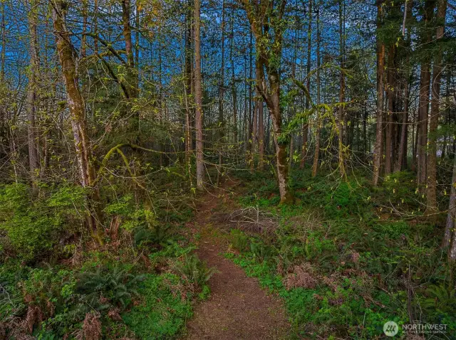explore in your own backyard.
