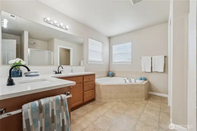 New quartz counters and undermount sinks.
