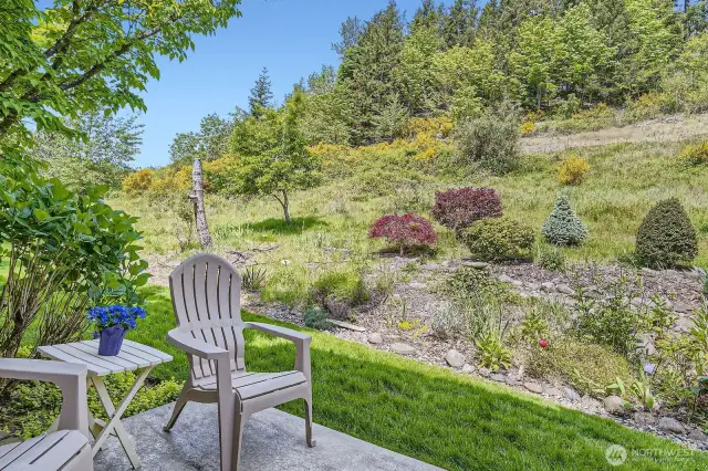 Patio looking over green space