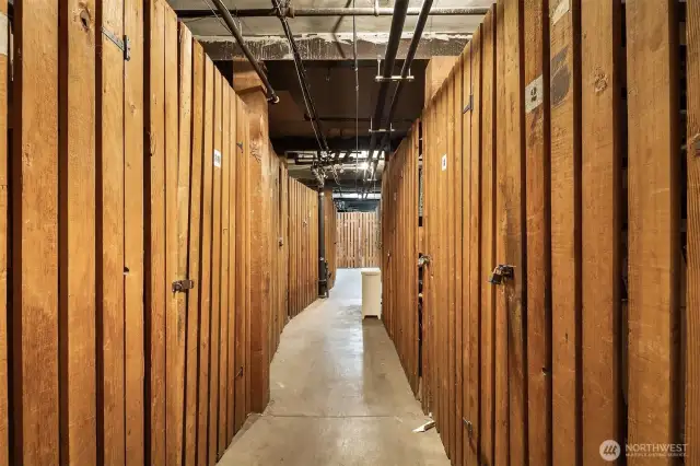 The storage area in the basement (there's also a smaller storage area off of the laundry room).