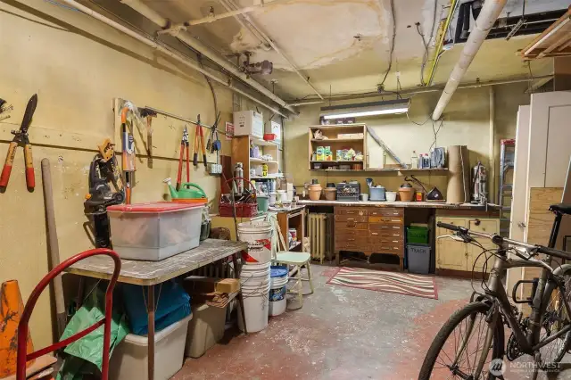 The workshop in the basement, with gardening equipment and tools.