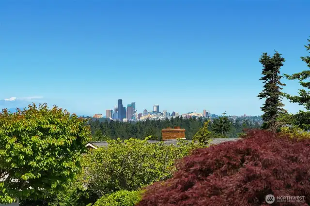 Views of Downtown Seattle