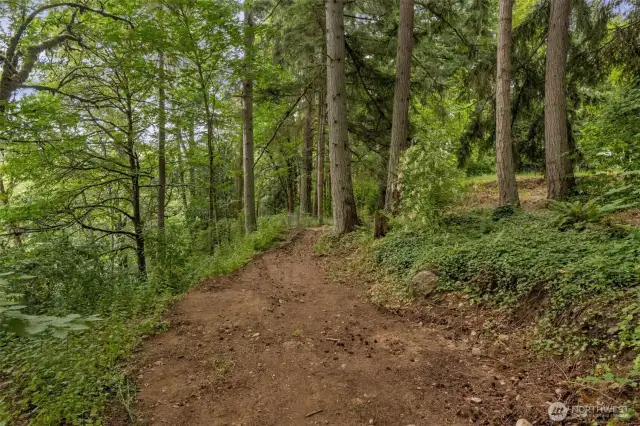 Walking trails in back