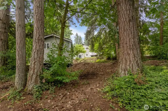 Walking trails in back