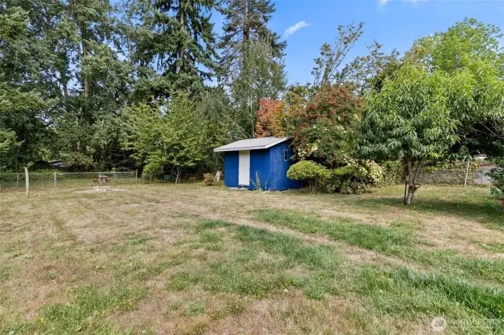 Large shed in yard!