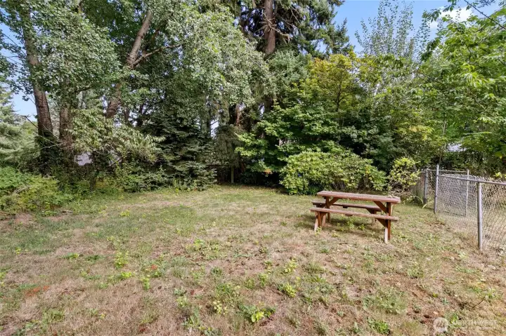 More yard beyond the first fence!
