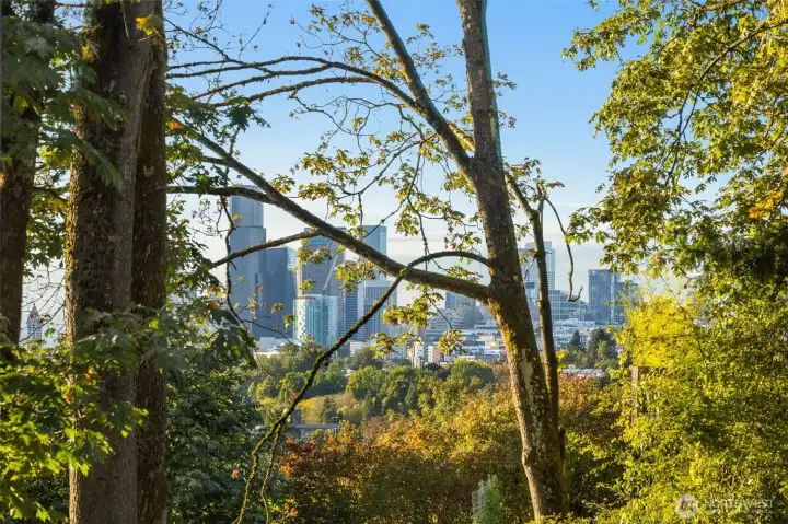 Just far enough away from the city where you get none of the noise and all of the action