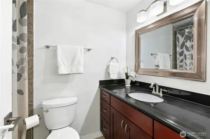 Main bathroom, updated.