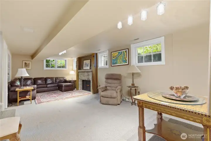 Another view to the lower level family room.