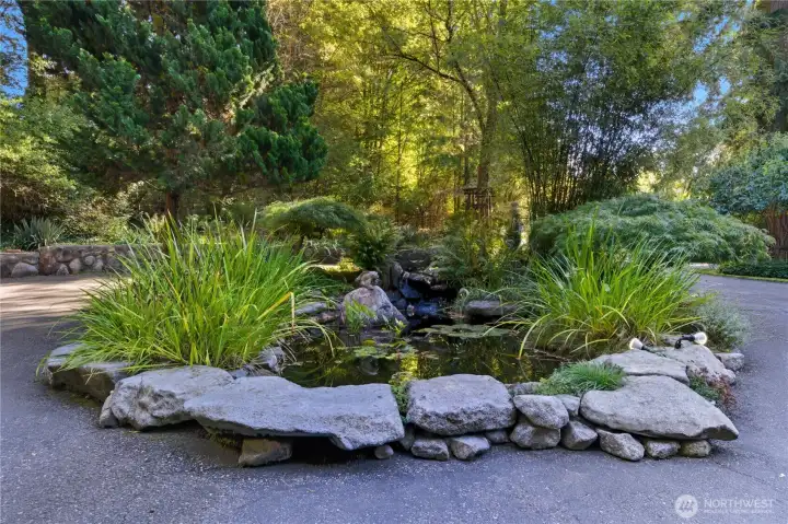 Experience the "Zen-Like" feeling as the watch the Koi in this stunning pond and listen to the birds in their natural habitat.