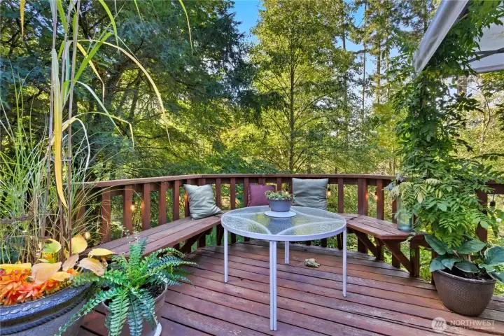 Another deck for entertaining friends and family all surrounded by nature.