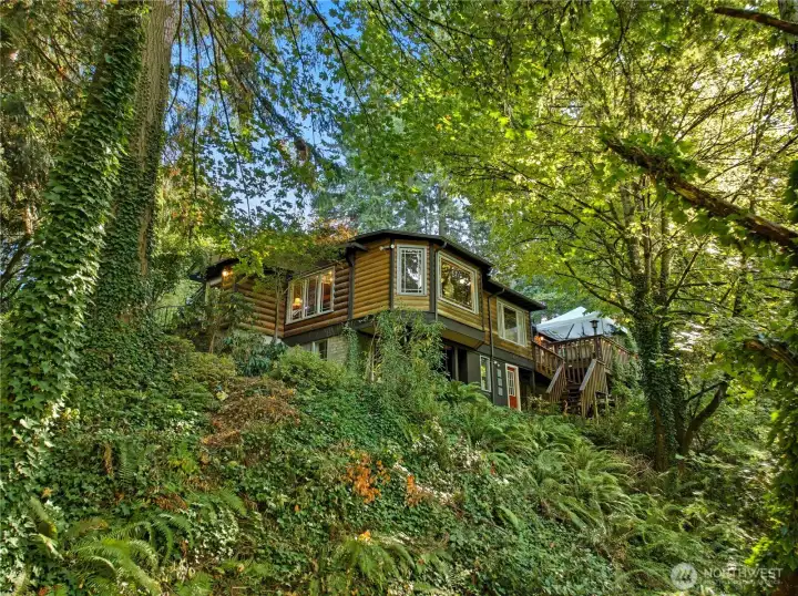 Storybook setting with mature trees, natural landscape, and soothing creek below.