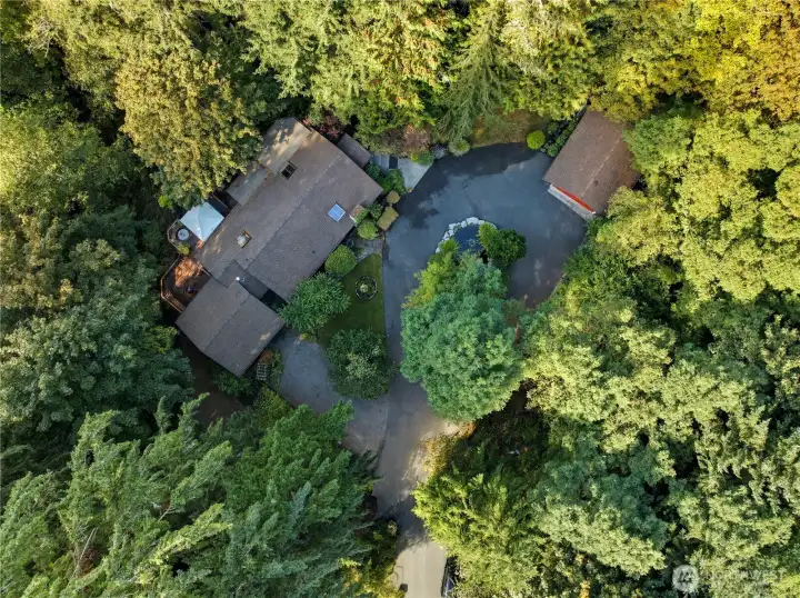 Set amongst mature flora and fauna, this magical residence hold a special spot next to Leach Creek.