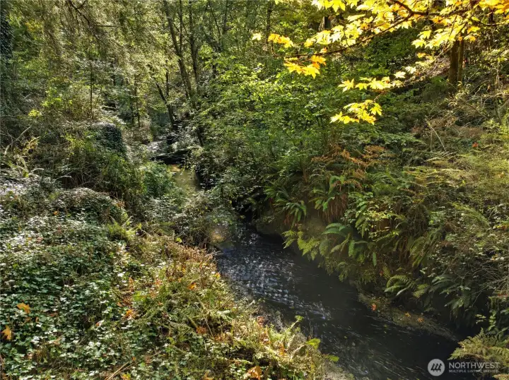 Nothing says "Peaceful" as the sounds of this year-a-round creek!