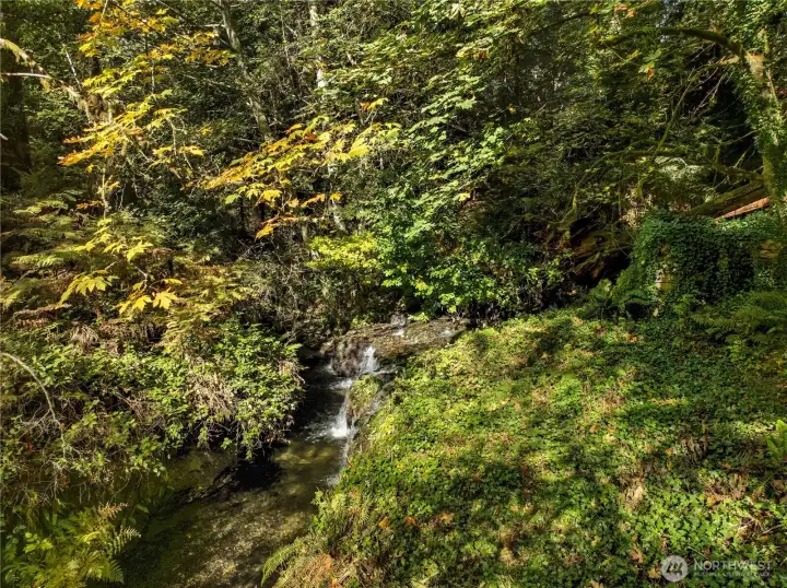 Stunning view of Leach Creek