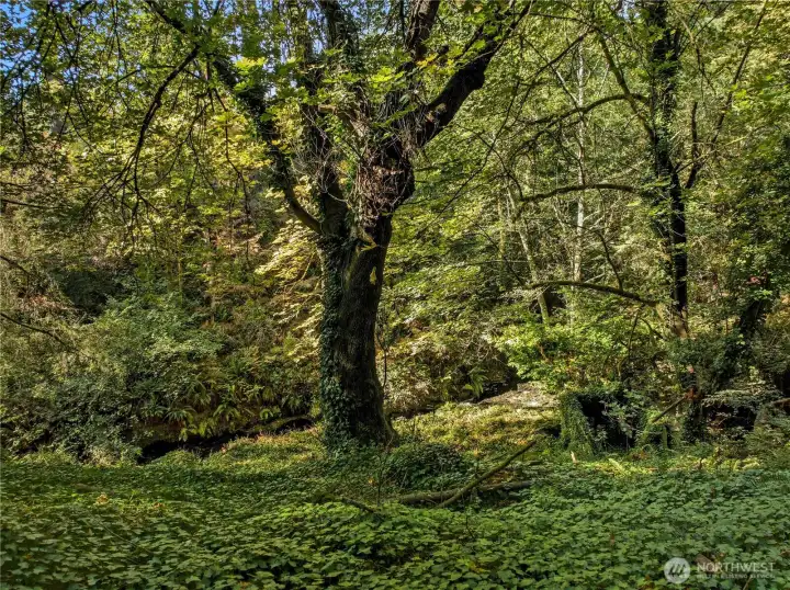 So tranquil.  There may never be a better place to relax.