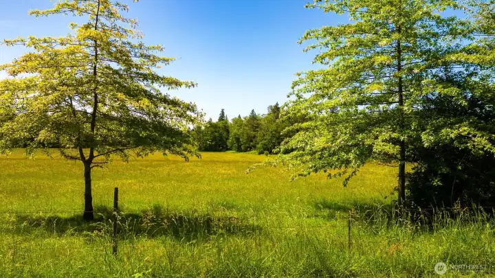 Tremendous opportunity to purchase beautiful acreage that has city water and is less than 5 minutes from downtown Blaine!