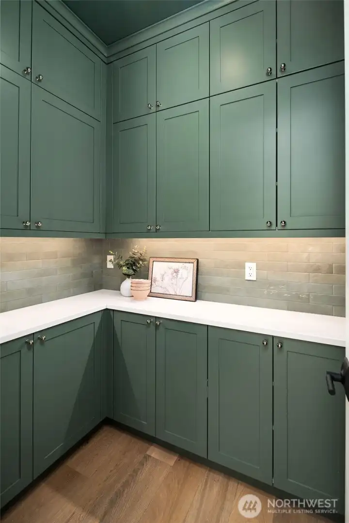 Moody color drenched butler's pantry