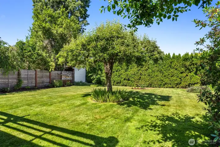 Enjoy the private setting on this rare level lot.