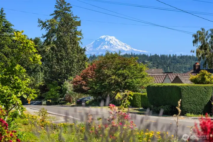 Mt Rainier greets you every day as you come home from work.