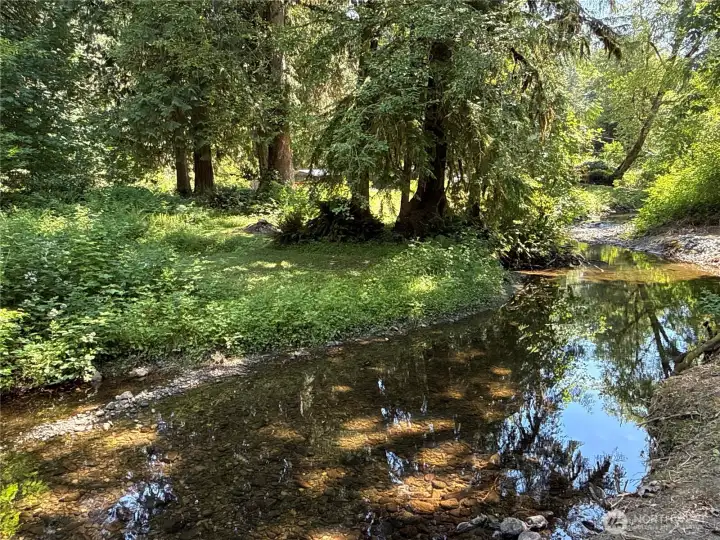 Creek just out back of cabin