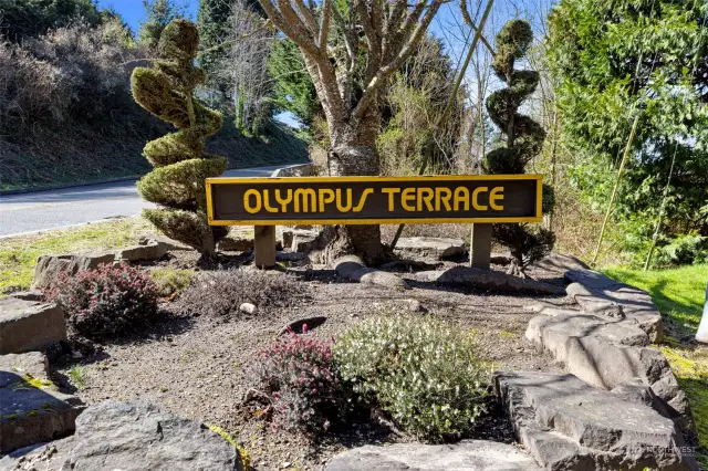 Welcome to Olympus Terrace!