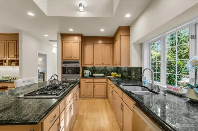 Vast granite counter space, Wolf cooktop and double oven.