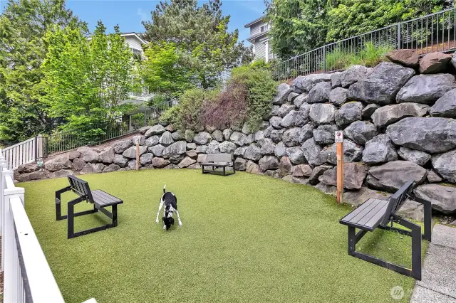 Dog park for the complex.