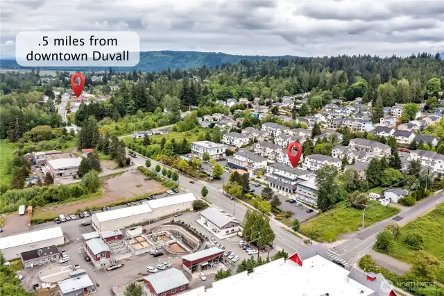 Just a half a mile away from downtown Duvall filled with unique shops and cozy restaurants!