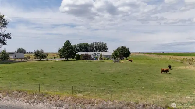 5 acres ready for your hobby farm