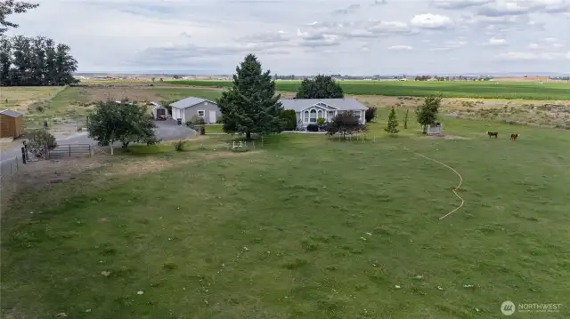5 acres ready for your hobby farm