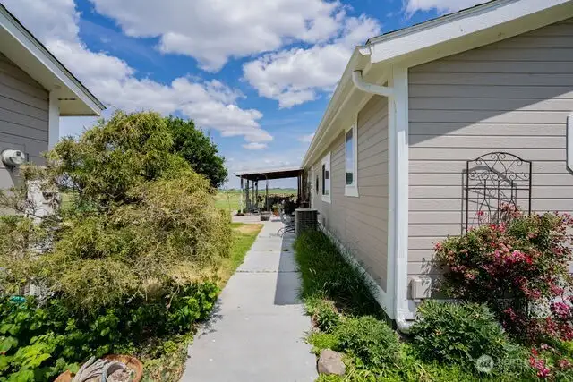 Pathway between house and shop