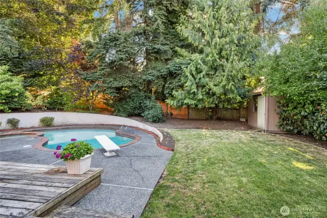 Tucked into the corner of the yard, the outdoor shed offers convenient storage for seasonal décor, yard tools, or poolside essentials.