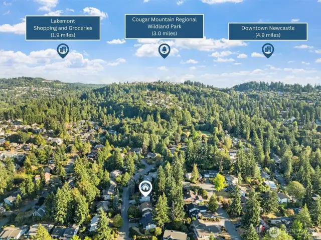 South View: Explore miles of trails at Cougar Mountain, shop local at Lakemont, or head to Downtown Newcastle—all while calling this peaceful residential pocket home.