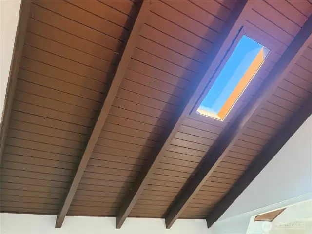 Living room has a skylight for even more light.