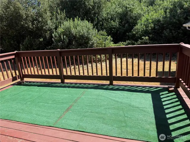 Backyard large deck.